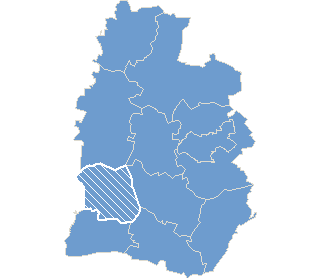 Commune Brąszewice