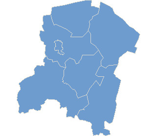 County radziejowski