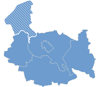 Gmina Wąpielsk