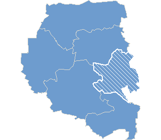 Commune Pszczew