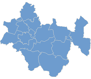 Powiat radomszczański