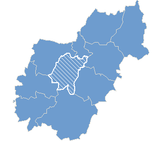 Gmina Wiśniewo